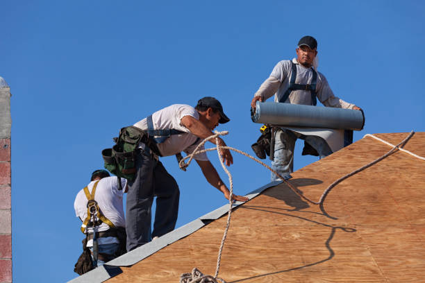 Best Roof Gutter Cleaning  in Wren, AR