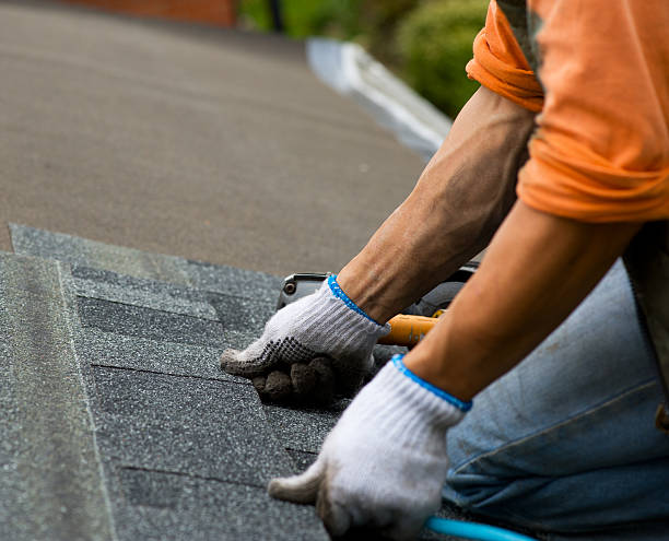 Best Storm Damage Roof Repair  in Wren, AR