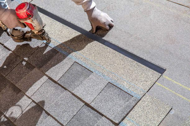 Best Roof Repair Services  in Wren, AR